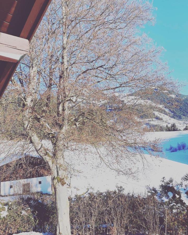 Hof Oberhaus Villa Kitzbühel Buitenkant foto