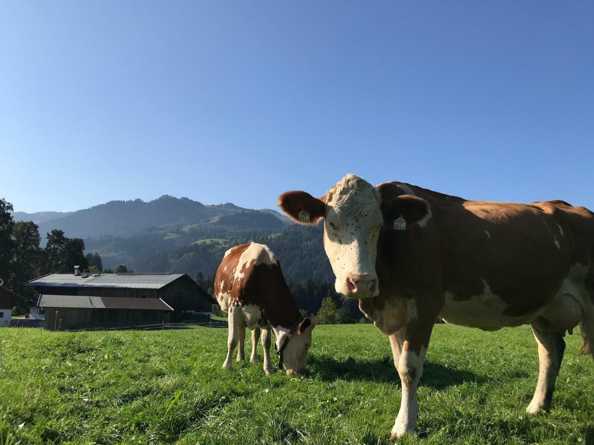 Hof Oberhaus Villa Kitzbühel Buitenkant foto